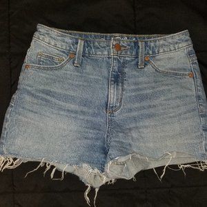 Blue Frayed Jean Shorts